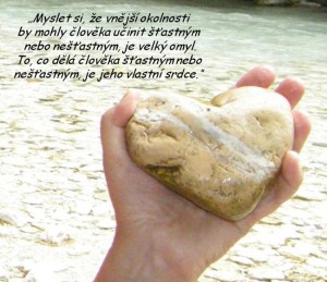 vlastni-srdce.jpg